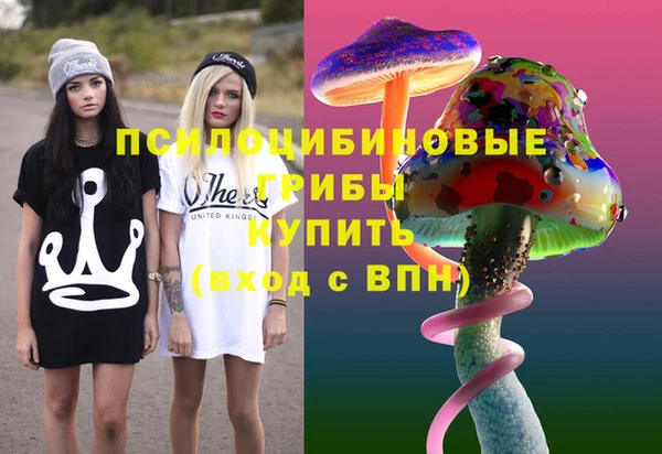 винт Алексеевка