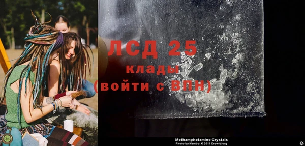 ГАЛЛЮЦИНОГЕННЫЕ ГРИБЫ Карталы